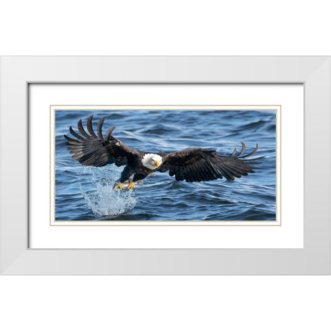 King of Mississippi White Modern Wood Framed Art Print with Double Matting by Fan, John