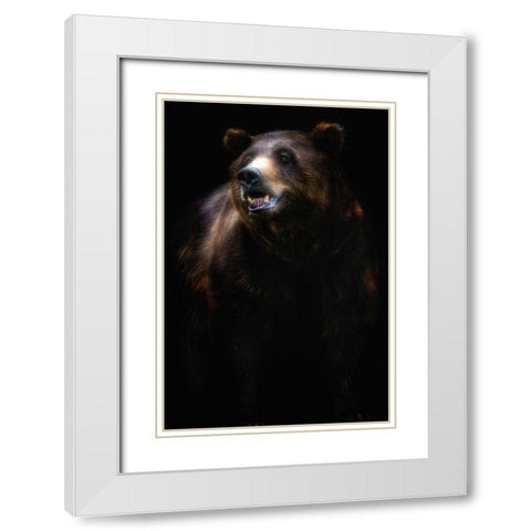 Brown bear portrait White Modern Wood Framed Art Print with Double Matting by Pascual Buye, Santiago