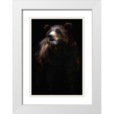 Brown bear portrait White Modern Wood Framed Art Print with Double Matting by Pascual Buye, Santiago