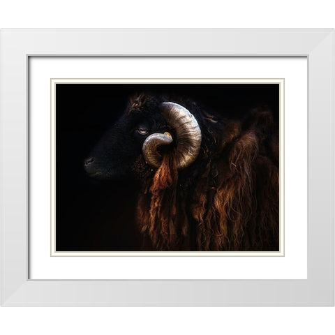 Ram portrait White Modern Wood Framed Art Print with Double Matting by Pascual Buye, Santiago