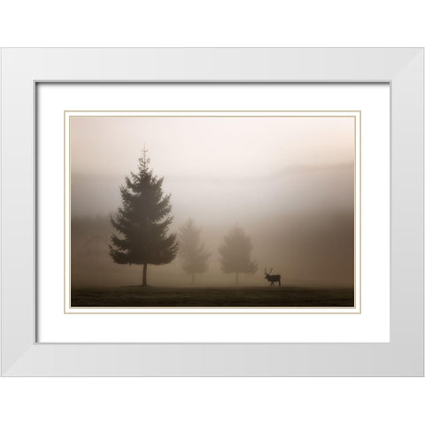 Looking for Love White Modern Wood Framed Art Print with Double Matting by Bruna, Marco