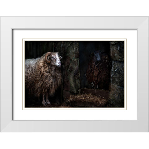The sheep shed White Modern Wood Framed Art Print with Double Matting by Pascual Buye, Santiago