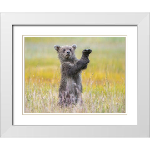 A little conductor White Modern Wood Framed Art Print with Double Matting by Hao Jiang,