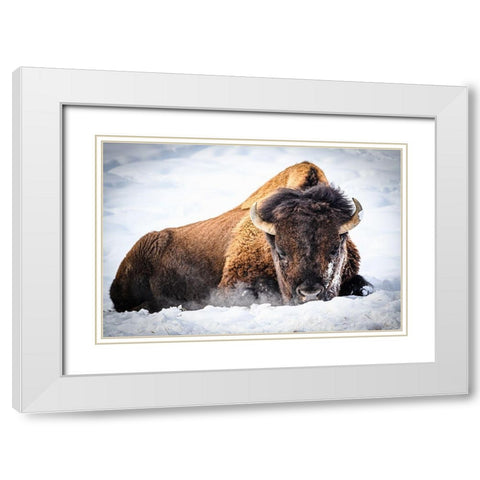 The King White Modern Wood Framed Art Print with Double Matting by Hunt, Debbie