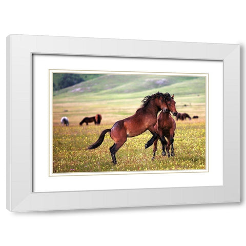 The Game White Modern Wood Framed Art Print with Double Matting by Vidak, Vedran