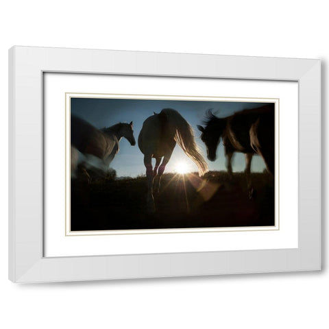 Sunrise White Modern Wood Framed Art Print with Double Matting by Malovrh, Milan
