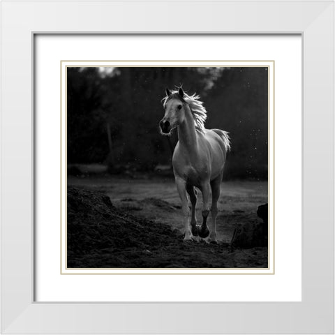 Coquetry White Modern Wood Framed Art Print with Double Matting by Al-Saeed, Abdullah