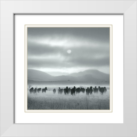 Toward the Sun White Modern Wood Framed Art Print with Double Matting by Yang, Shu-Guang
