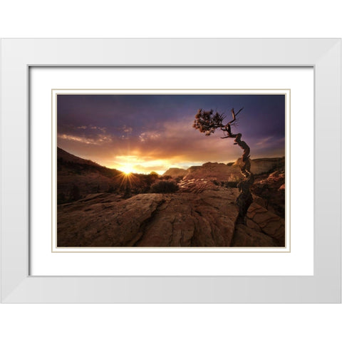 Distorted White Modern Wood Framed Art Print with Double Matting by Vecernik, Mirko