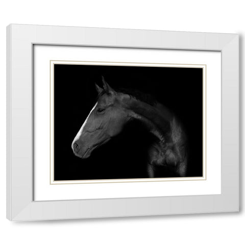 My horse White Modern Wood Framed Art Print with Double Matting by Kogel, Wieteke de