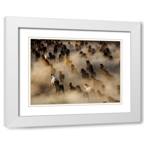 Wild horses White Modern Wood Framed Art Print with Double Matting by Bedir, Mehmet