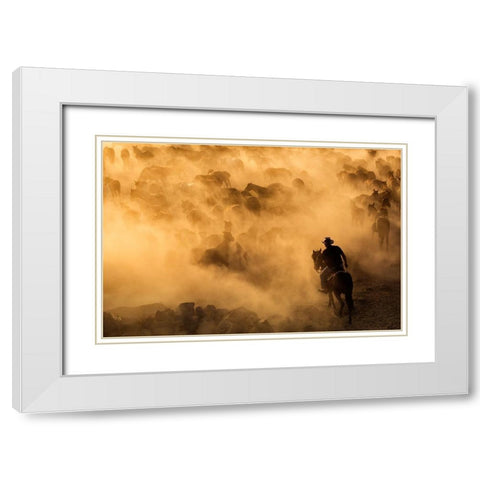 Cappadocia wild horses White Modern Wood Framed Art Print with Double Matting by Mirica, Dan