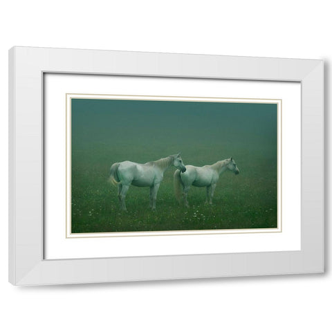 In the silent field White Modern Wood Framed Art Print with Double Matting by Khemkum, Ekkachai