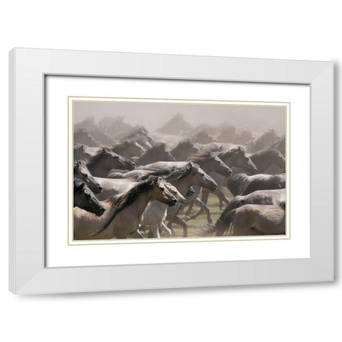 Escaped White Modern Wood Framed Art Print with Double Matting by Uhlig, Dieter