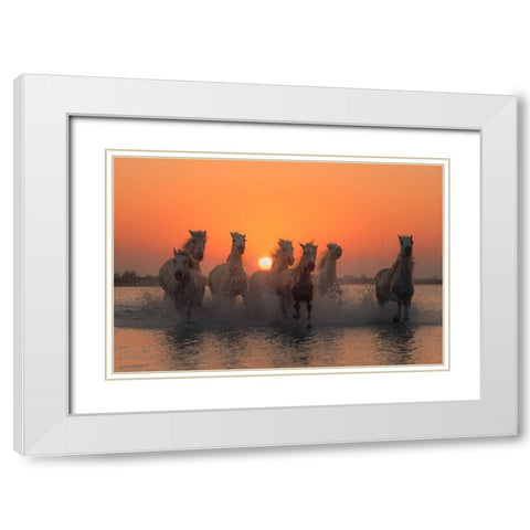 Sunset in Camargue White Modern Wood Framed Art Print with Double Matting by Anton, Rostovskiy