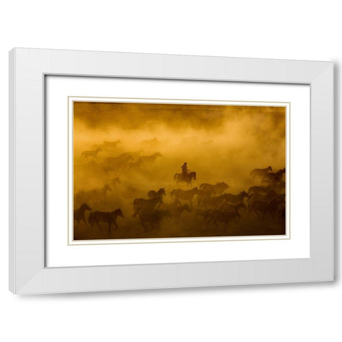 Horses White Modern Wood Framed Art Print with Double Matting by Nisan Kandilcioglu, Ummu