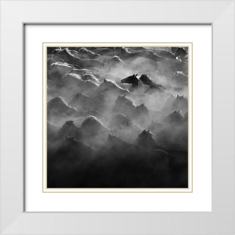Leader White Modern Wood Framed Art Print with Double Matting by Zheng, Na Anna