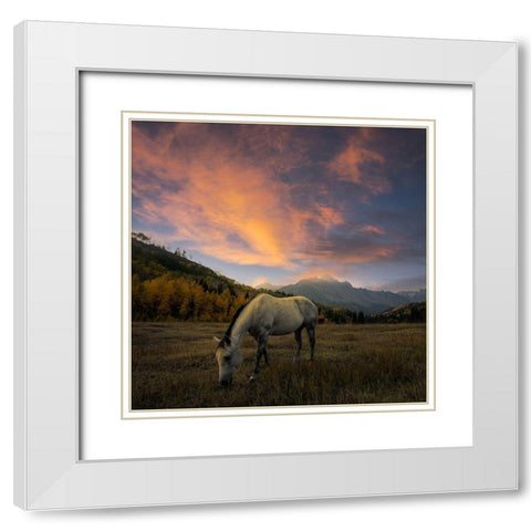 The Paradise White Modern Wood Framed Art Print with Double Matting by Fan, John