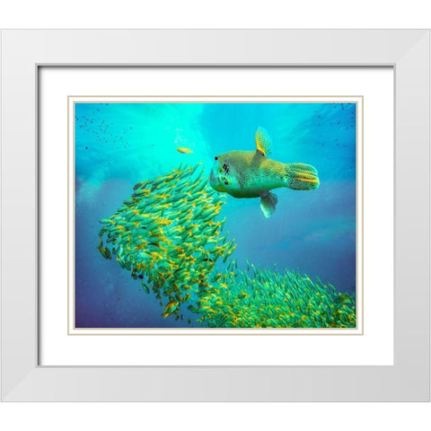 Puffer fish and yellow snapper-Miniloc Island-Palawan-Philippines White Modern Wood Framed Art Print with Double Matting by Fitzharris, Tim