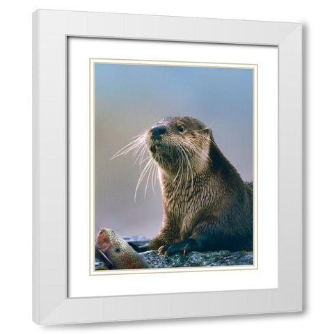 River Otter with fish White Modern Wood Framed Art Print with Double Matting by Fitzharris, Tim