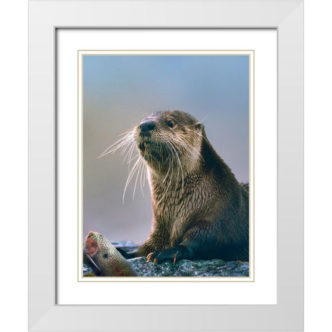 River Otter with fish White Modern Wood Framed Art Print with Double Matting by Fitzharris, Tim