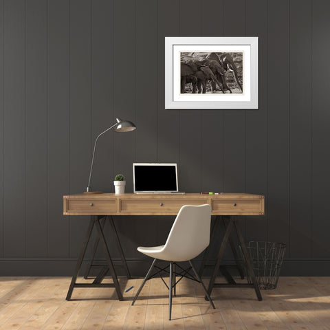 African elephants at a waterhole-Zimbabwe Sepia White Modern Wood Framed Art Print with Double Matting by Fitzharris, Tim