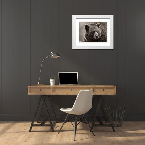 Cinnamon Black Bear Sepia White Modern Wood Framed Art Print with Double Matting by Fitzharris, Tim