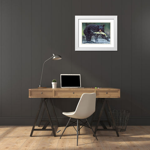 Black bear with Salmon White Modern Wood Framed Art Print with Double Matting by Fitzharris, Tim
