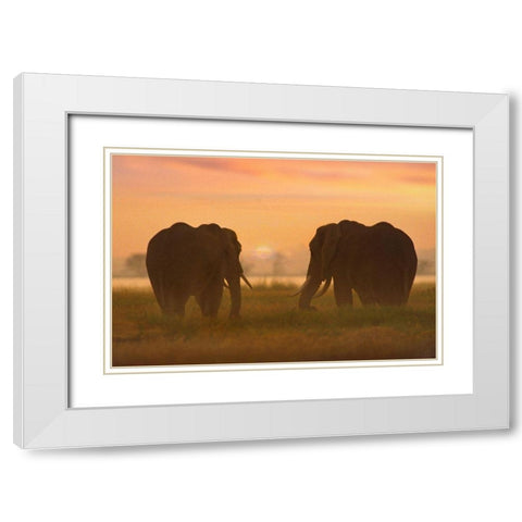 African Elephants at sunrise-Amboseli National Reserve-Kenya White Modern Wood Framed Art Print with Double Matting by Fitzharris, Tim