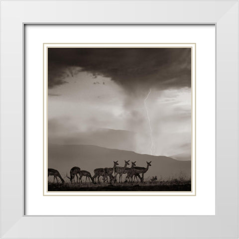 Impala and Lightning  Sepia White Modern Wood Framed Art Print with Double Matting by Fitzharris, Tim
