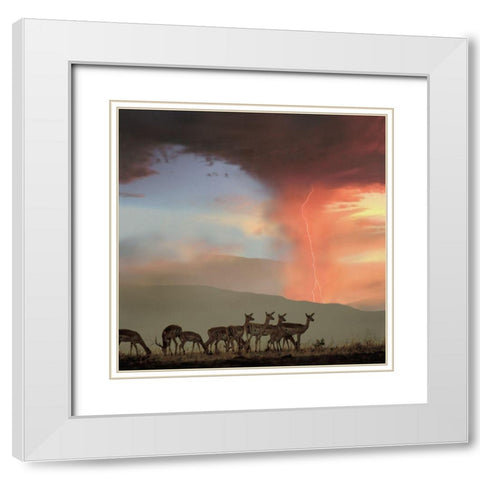 Impala and Lightning  White Modern Wood Framed Art Print with Double Matting by Fitzharris, Tim