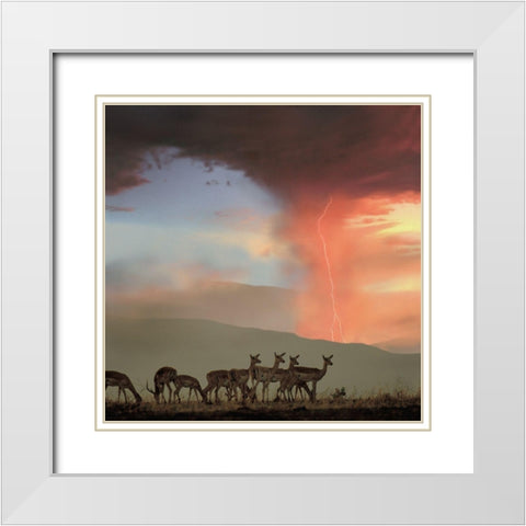 Impala and Lightning  White Modern Wood Framed Art Print with Double Matting by Fitzharris, Tim