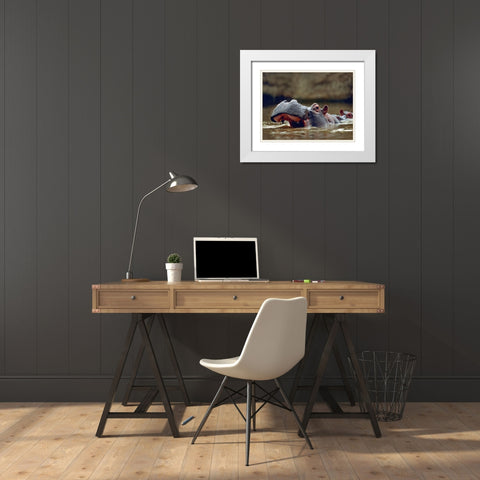 Hippopotamus-Kenya White Modern Wood Framed Art Print with Double Matting by Fitzharris, Tim