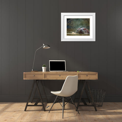 Hippo spluttering Mara River-Kenya White Modern Wood Framed Art Print with Double Matting by Fitzharris, Tim