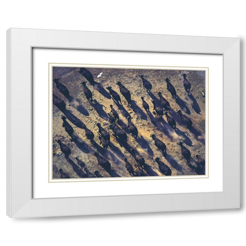 African buffalo stampede White Modern Wood Framed Art Print with Double Matting by Fitzharris, Tim
