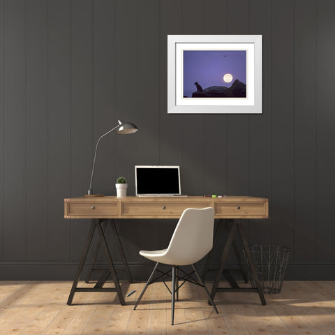 Arctic fox and moon White Modern Wood Framed Art Print with Double Matting by Fitzharris, Tim