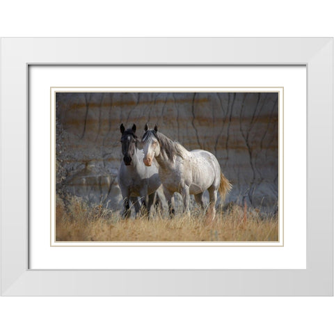 Wild horses Badlands Natl Park SD White Modern Wood Framed Art Print with Double Matting by Fitzharris, Tim