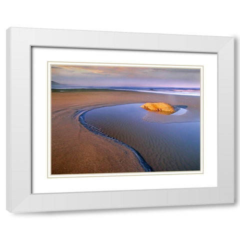 Seastars on rock Beach Six Olympic Natl Park WA White Modern Wood Framed Art Print with Double Matting by Fitzharris, Tim