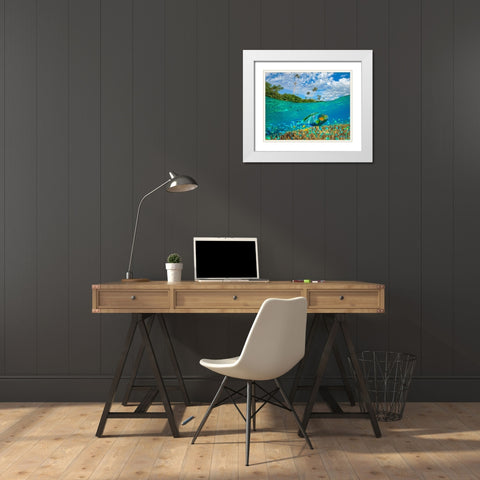 Blue chromis and coral at palm tree Bukai Beach-Palawan-Philippines White Modern Wood Framed Art Print with Double Matting by Fitzharris, Tim