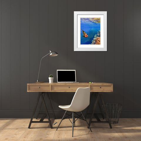 Red parrot fish and sardines-Panagsama reef-Philippines White Modern Wood Framed Art Print with Double Matting by Fitzharris, Tim