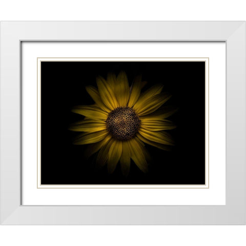 Backyard Flowers Yellow 18 White Modern Wood Framed Art Print with Double Matting by Carson, Brian