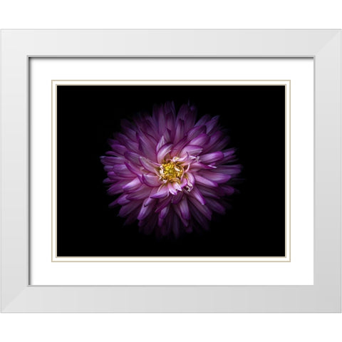Backyard Flowers Purple 20 White Modern Wood Framed Art Print with Double Matting by Carson, Brian