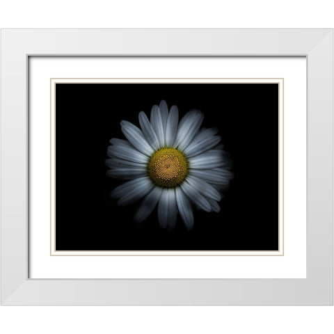 Backyard Flowers White 31 White Modern Wood Framed Art Print with Double Matting by Carson, Brian