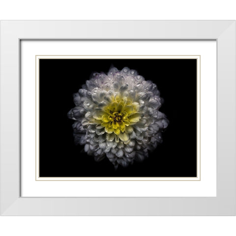 Backyard Flowers White 46 White Modern Wood Framed Art Print with Double Matting by Carson, Brian