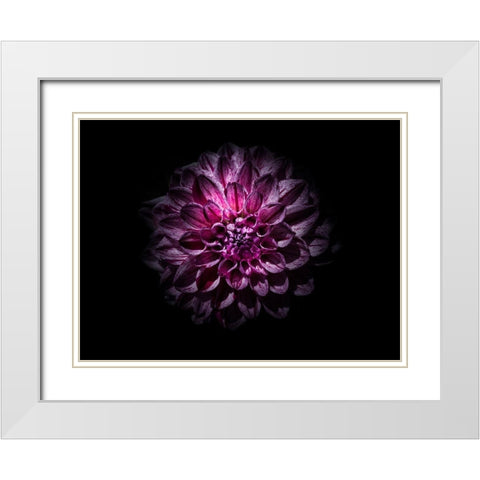 Backyard Flowers Purple 57 White Modern Wood Framed Art Print with Double Matting by Carson, Brian