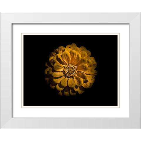 Backyard Flowers Gold 58 White Modern Wood Framed Art Print with Double Matting by Carson, Brian