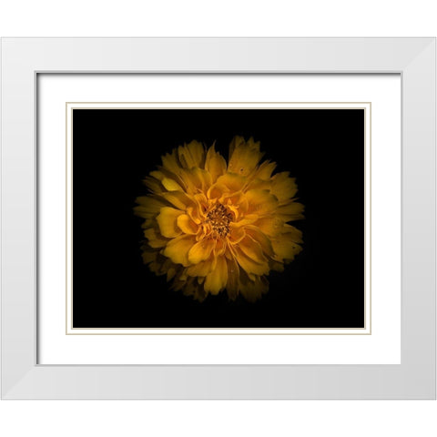 Backyard Flowers Gold 79 White Modern Wood Framed Art Print with Double Matting by Carson, Brian