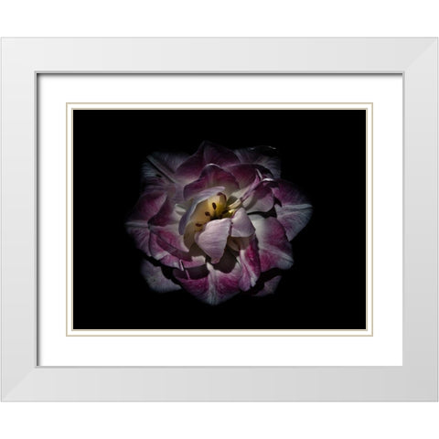 Backyard Flowers Purple 81 White Modern Wood Framed Art Print with Double Matting by Carson, Brian