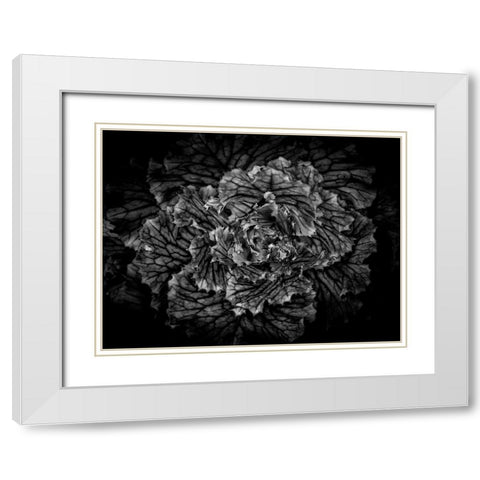 Backyard Flowers Black and White 42 White Modern Wood Framed Art Print with Double Matting by Carson, Brian