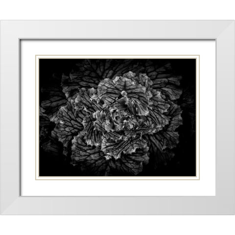 Backyard Flowers Black and White 42 White Modern Wood Framed Art Print with Double Matting by Carson, Brian